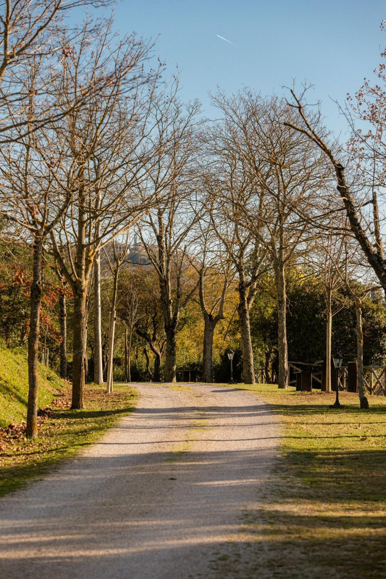 Agriturismo Le Cerque Collazzone Dış mekan fotoğraf