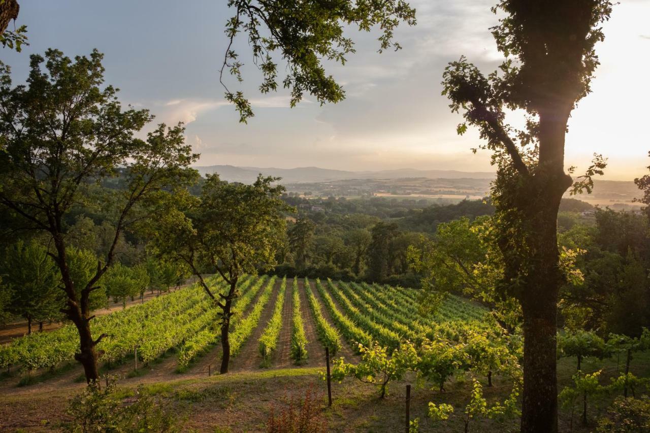 Agriturismo Le Cerque Collazzone Dış mekan fotoğraf