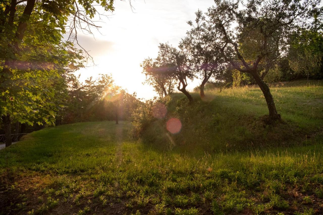 Agriturismo Le Cerque Collazzone Dış mekan fotoğraf